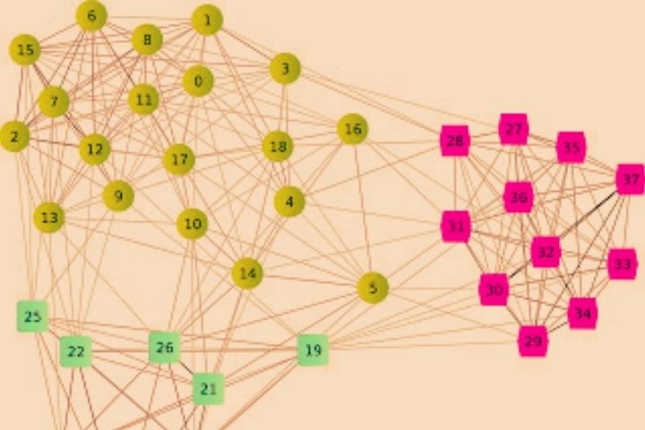What Is Clustering? Definition, Common Queries And Examples