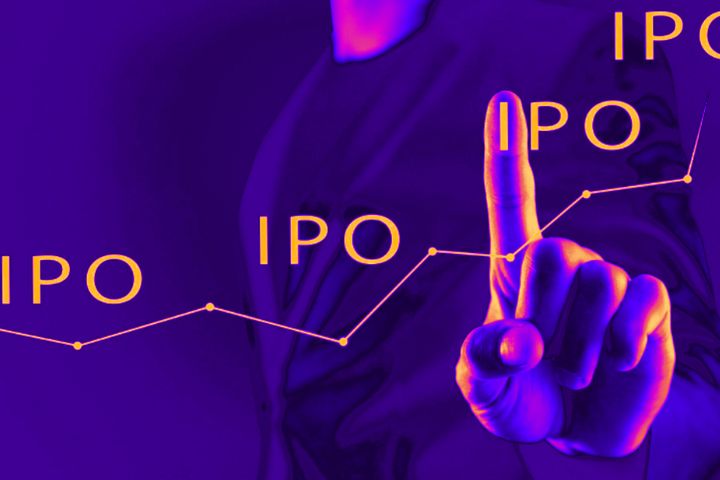 Want To Know About Initial Public Offering(IPO) And About The Public Companies